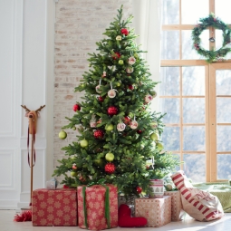 Category image: Christmas Trees